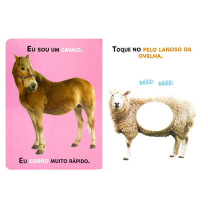 "NOMES & TEXTURAS: ANIMAIS DA FAZENDA
  "