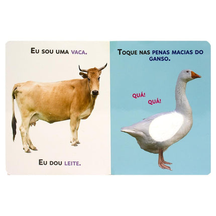 "NOMES & TEXTURAS: ANIMAIS DA FAZENDA
  "