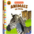 NOMES & TEXTURAS: ANIMAIS DA SELVA