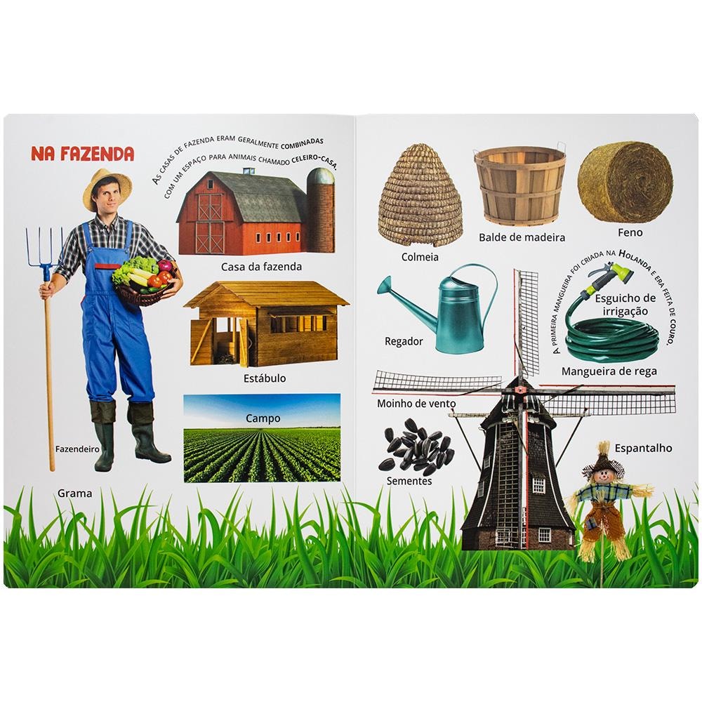 DESCOBRIR E APRENDER: FAZENDA