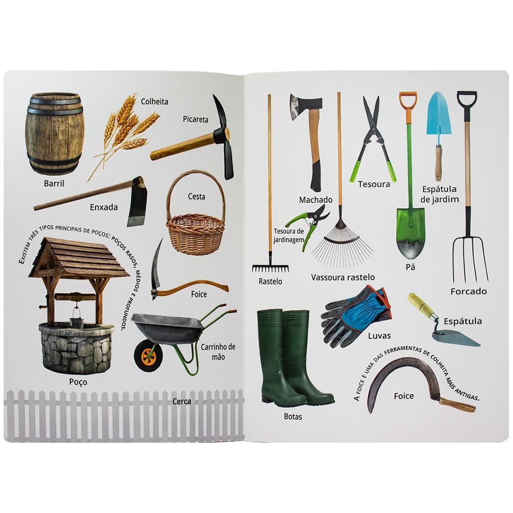 DESCOBRIR E APRENDER: FAZENDA