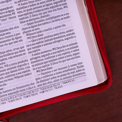 Bíblia Sagrada | NAA | Letra Grande | Com Zíper | Vermelha Cruz
