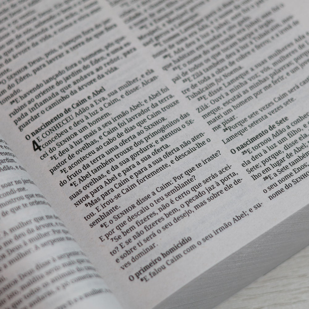 Bíblia Sagrada A Palavra de Deus é Viva e Eficaz | ACF | Letra Normal | Capa Brochura