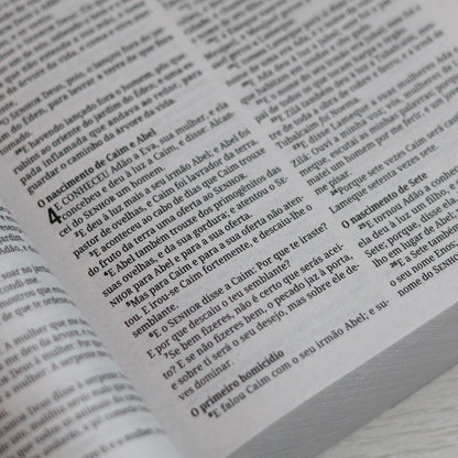 Bíblia Sagrada A Palavra de Deus é Viva e Eficaz | ACF | Letra Normal | Capa Brochura