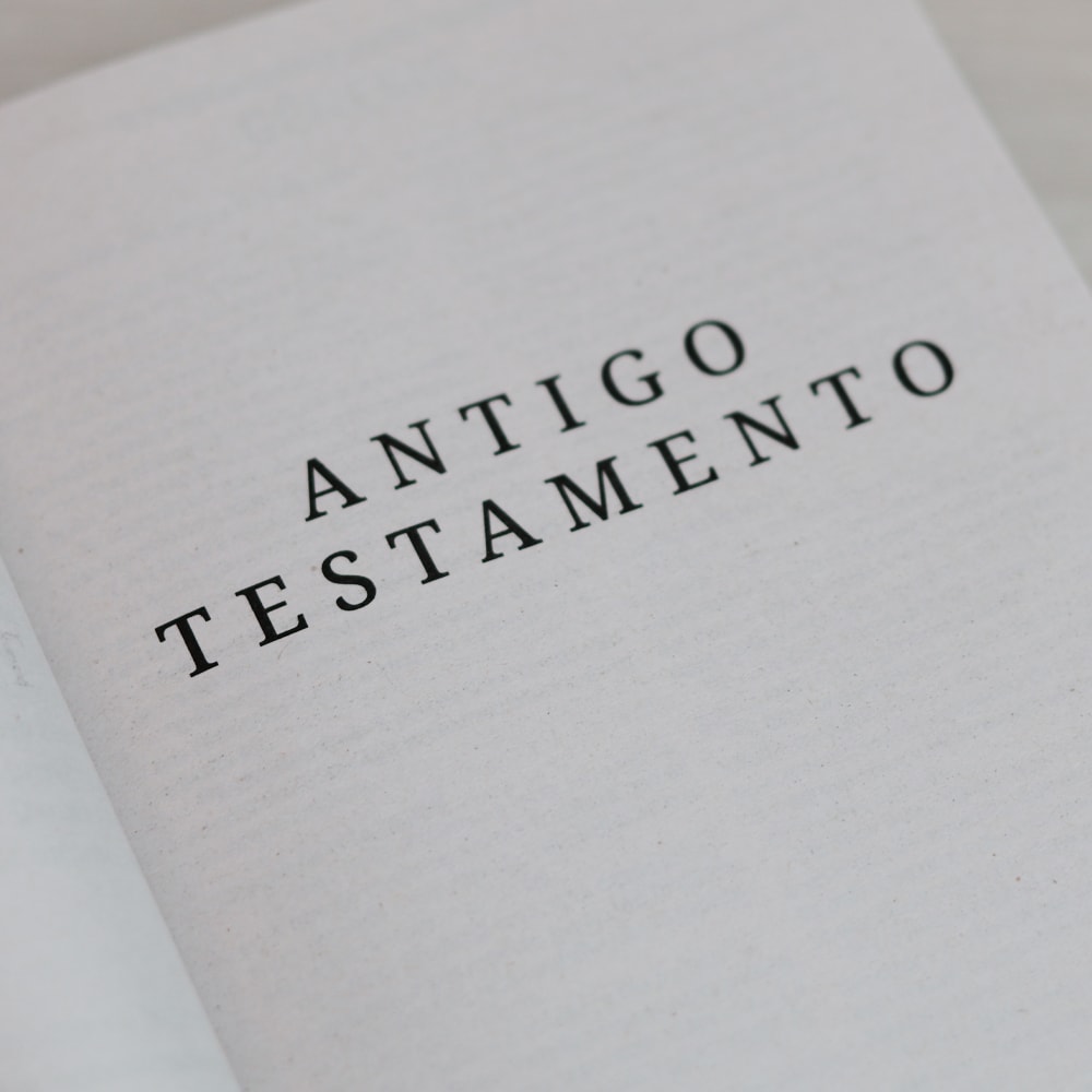 Bíblia Sagrada A Palavra de Deus é Viva e Eficaz | ACF | Letra Normal | Capa Brochura