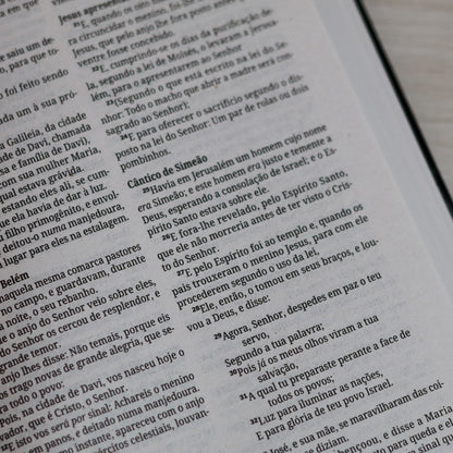 Bíblia Sagrada Leão | ACF | Letra Normal | Capa Brochura