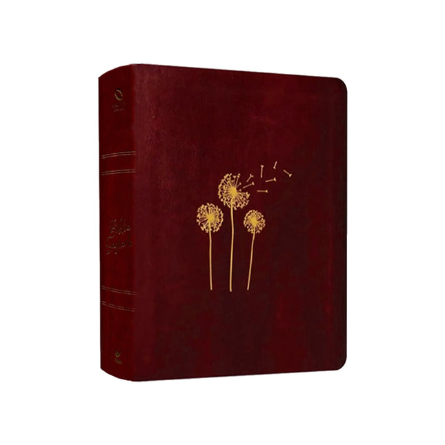 Bíblia Mulheres | Viviane Martinello | NAA | Espaço Para Anotações | Sopro Divino