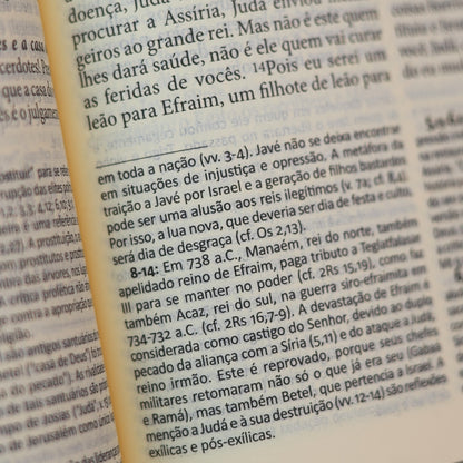 Bíblia Pastoral | Letra Normal | Capa Dura Jardim | Edição Católica