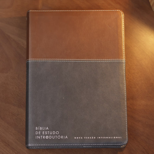 Bíblia de Estudo Inrodutória | NVI | Leitura Perfeita | Capa Couro Soft Marrom e Cinza Chumbo