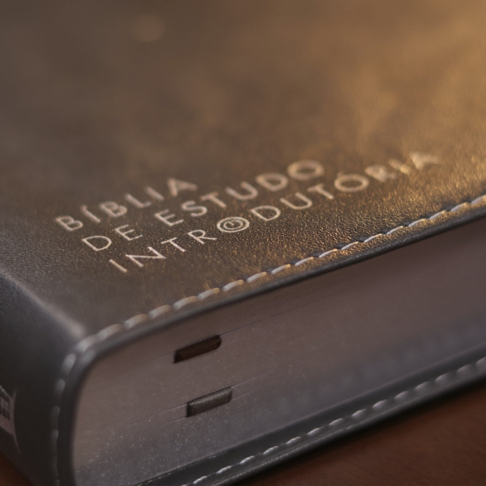Bíblia de Estudo Inrodutória | NVI | Leitura Perfeita | Capa Couro Soft Marrom e Cinza Chumbo