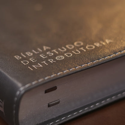Bíblia de Estudo Inrodutória | NVI | Leitura Perfeita | Capa Couro Soft Marrom e Cinza Chumbo