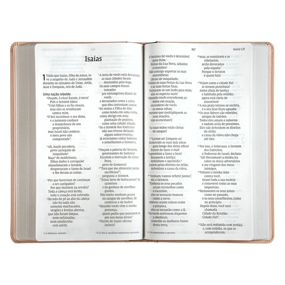 Bíblia Sagrada | NVI | Letra Gigante | Leitura Perfeita | Capa Dura Tecido Feminina Flores