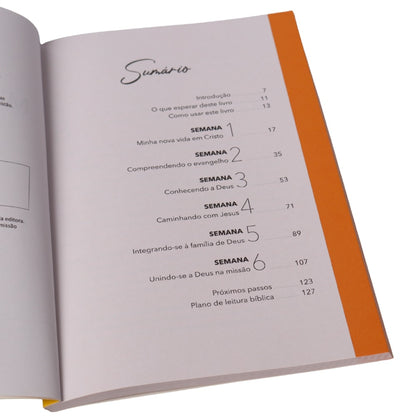 Minha Nova Vida | Cynthia Hopkins