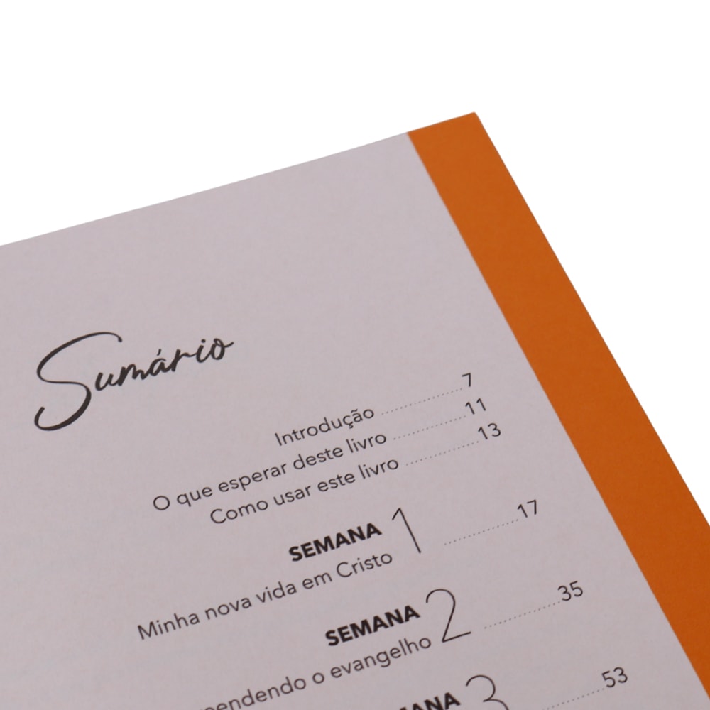 Minha Nova Vida | Cynthia Hopkins