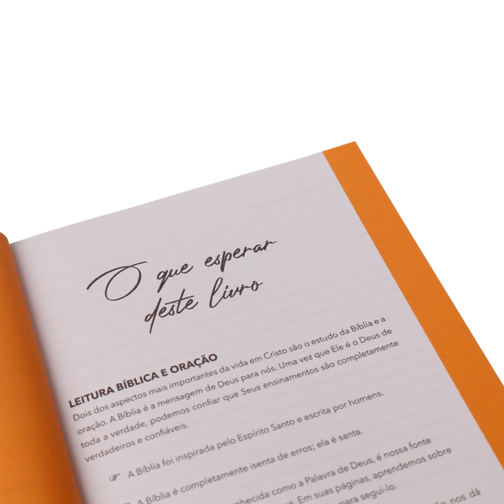 Minha Nova Vida | Cynthia Hopkins