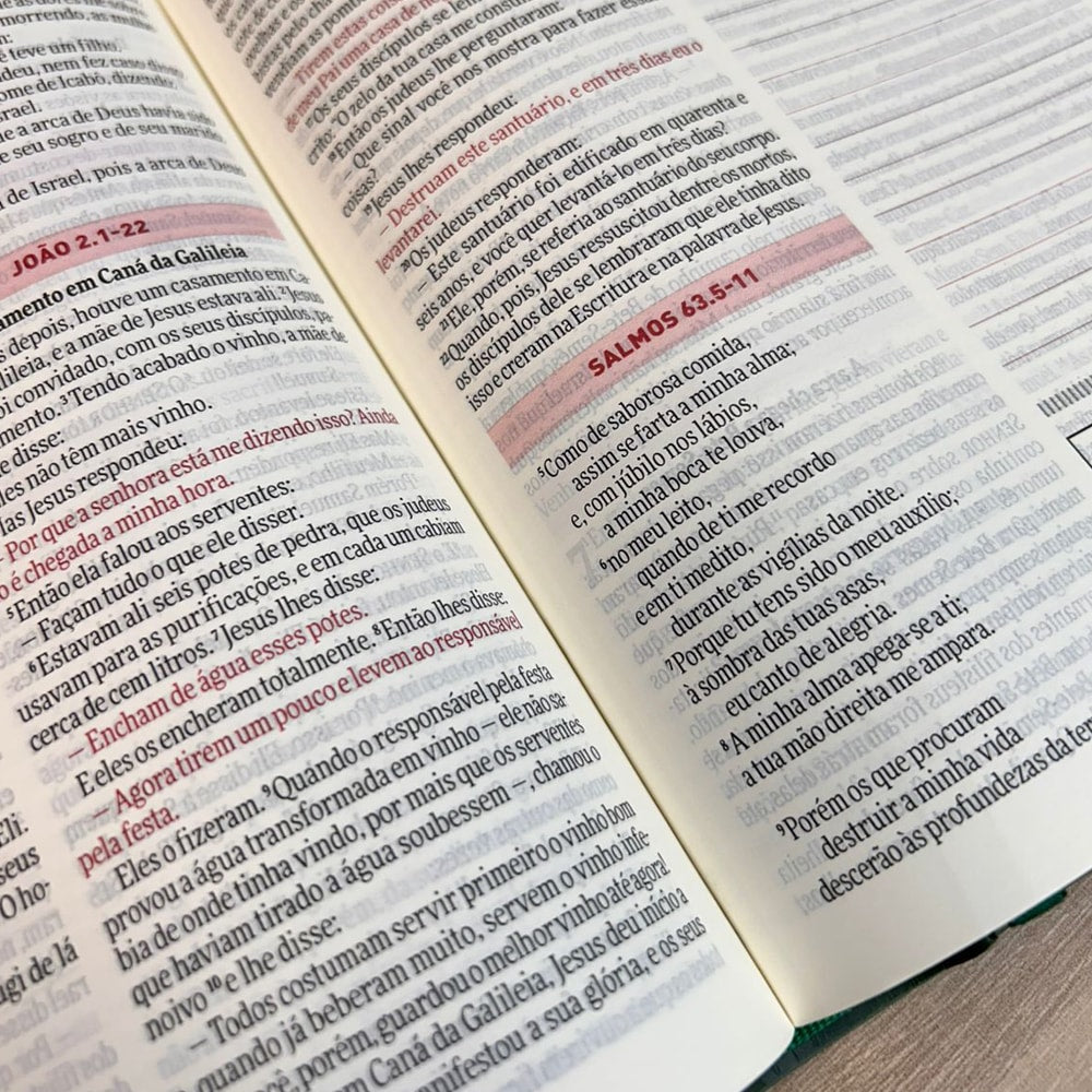 Bíblia Todo Dia | NAA | Espaço Para Anotações | Capa Dura Rosê