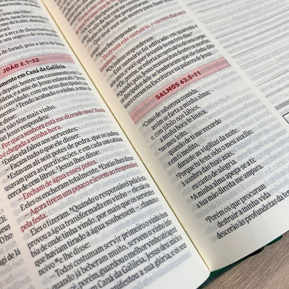 Bíblia Todo Dia | NAA | Espaço Para Anotações | Capa Dura Rosê