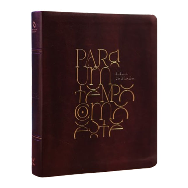 Bíblia Mulheres | Viviane Martinello | NAA | Espaço Para Anotações | Duas Colunas | Para Um Tempo Como Este