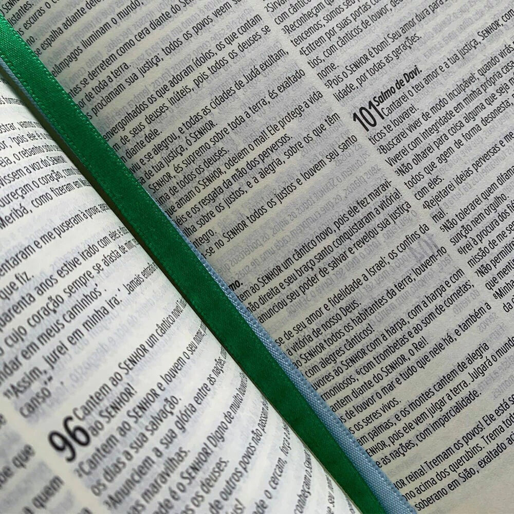 Bíblia Sagrada Fonte de Vida | NVT| Leia e Anote