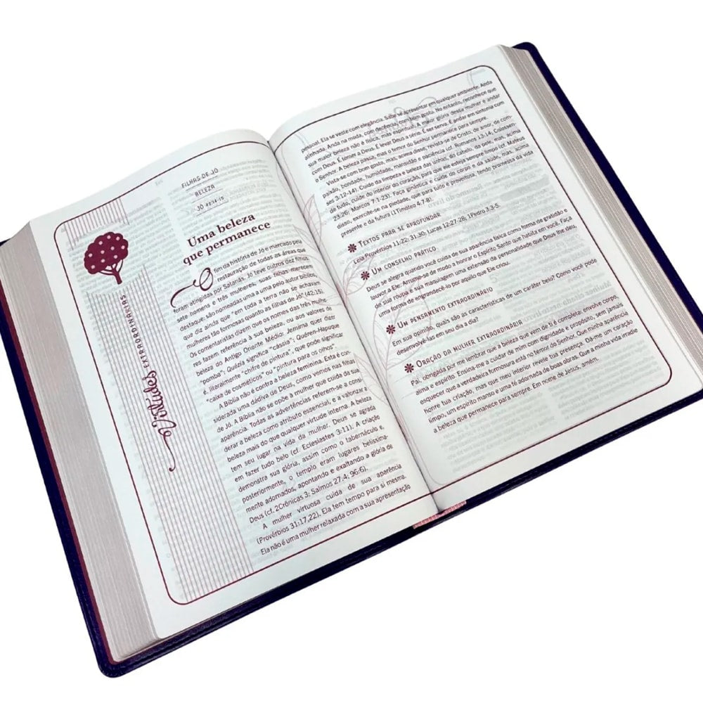 Bíblia Mulher Extraordinária | King James Clássica | Hernandes Dias Lopes | Rosa