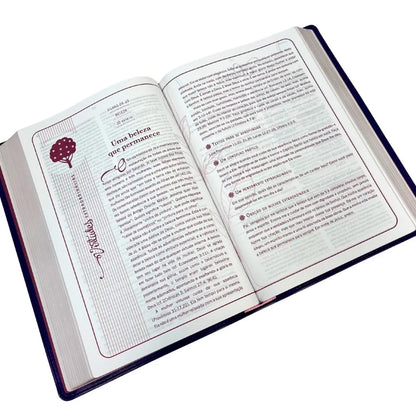 Bíblia Mulher Extraordinária | King James Clássica | Hernandes Dias Lopes | Rosa