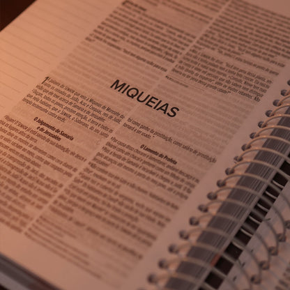 Minha Bíblia Diária Flores | NVI | Com Espaços Para Anotações | Capa Dura