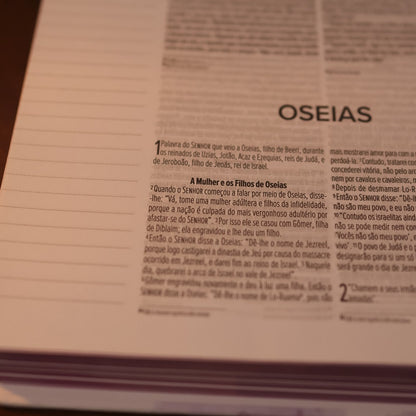 Minha Bíblia Diária Borboleta | NVI | Com Espaços Para Anotações | Capa Dura