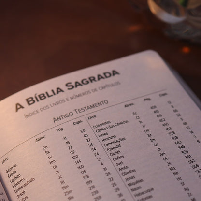 Bíblia Sagrada Cruz | NVI | Capa Flexível Preta