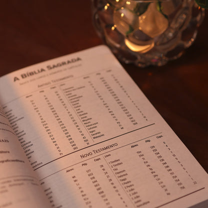 Bíblia Sagrada Cruz | NVI | Capa Flexível Marrom