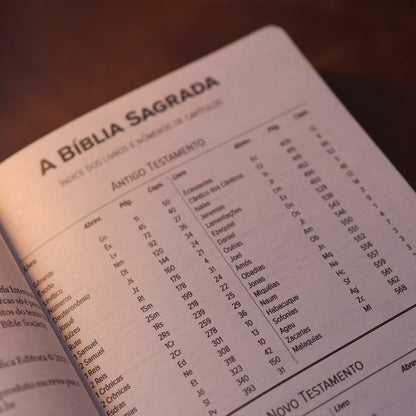 Bíblia Sagrada Peixe | NVI | Capa Flexível Azul