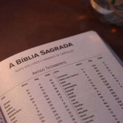 Bíblia Flexível Peixe | NVI | Capa Rosa