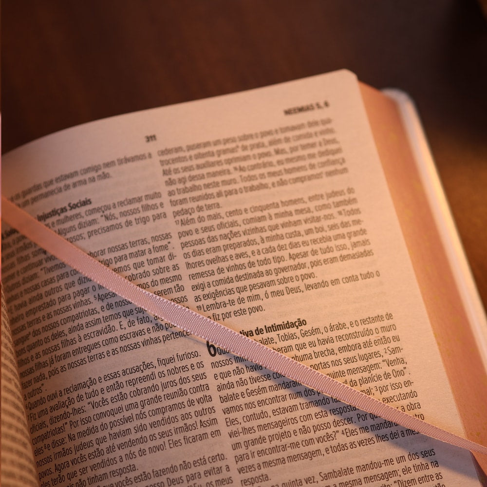 Bíblia Essencial Rosa | NVI | Capa Dura