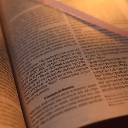 Bíblia Essencial Rosa | NVI | Capa Dura