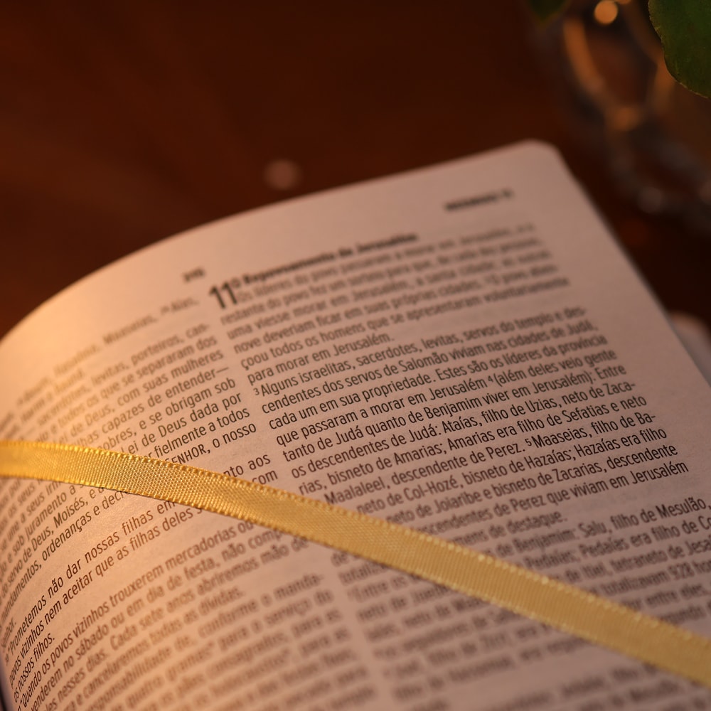 Bíblia Essencial Salmão | NVI | Capa Dura