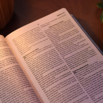 Bíblia Essencial Salmão | NVI | Capa Dura