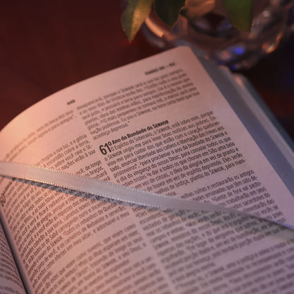 Bíblia Essencial Azul | NVI | Capa Dura