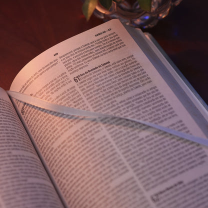 Bíblia Essencial Azul | NVI | Capa Dura