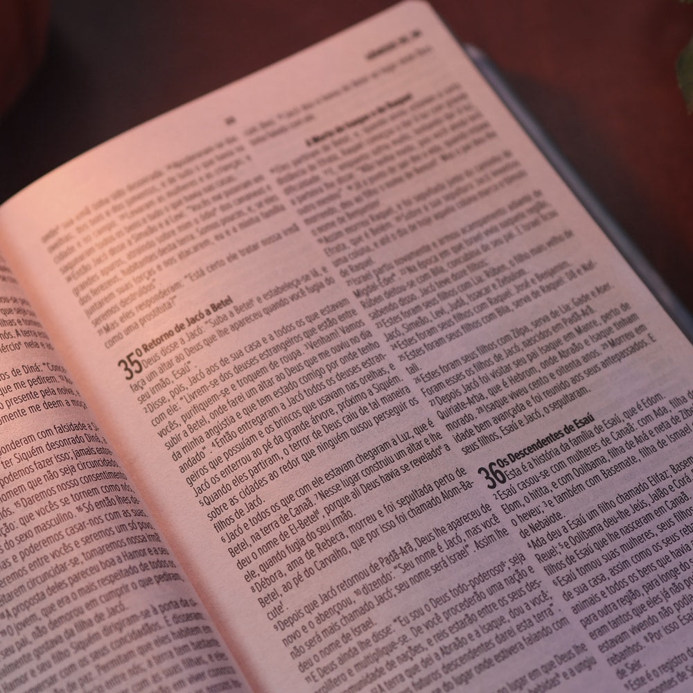 Bíblia Essencial Azul | NVI | Capa Dura