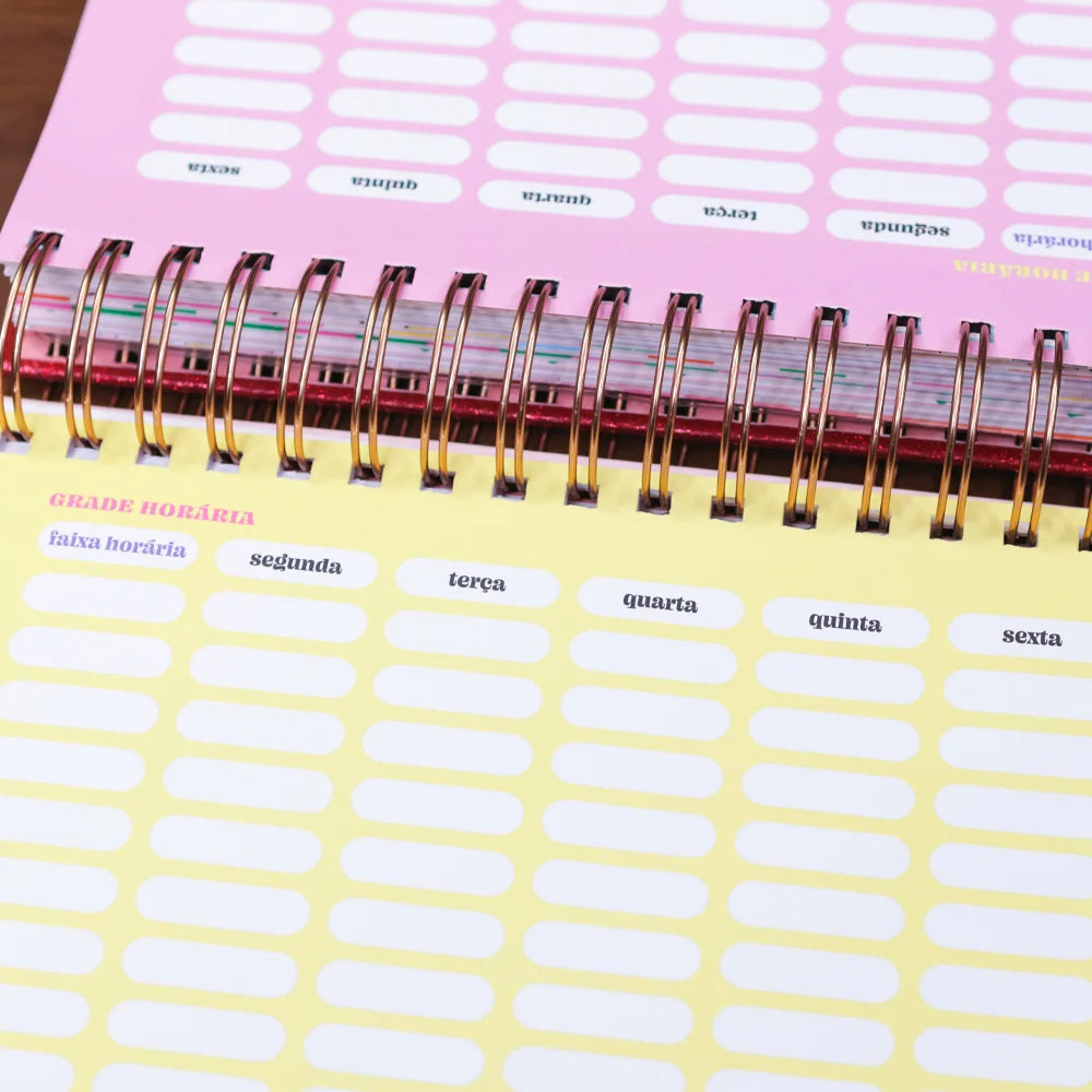 Planner Meu Plano Perfeito Florescer | Capa Dura Coração