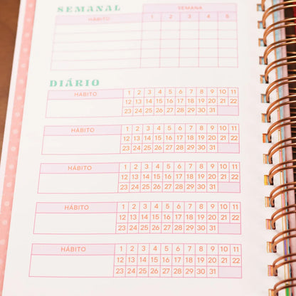Planner Meu Plano Perfeito Florescer | Capa Dura Coração