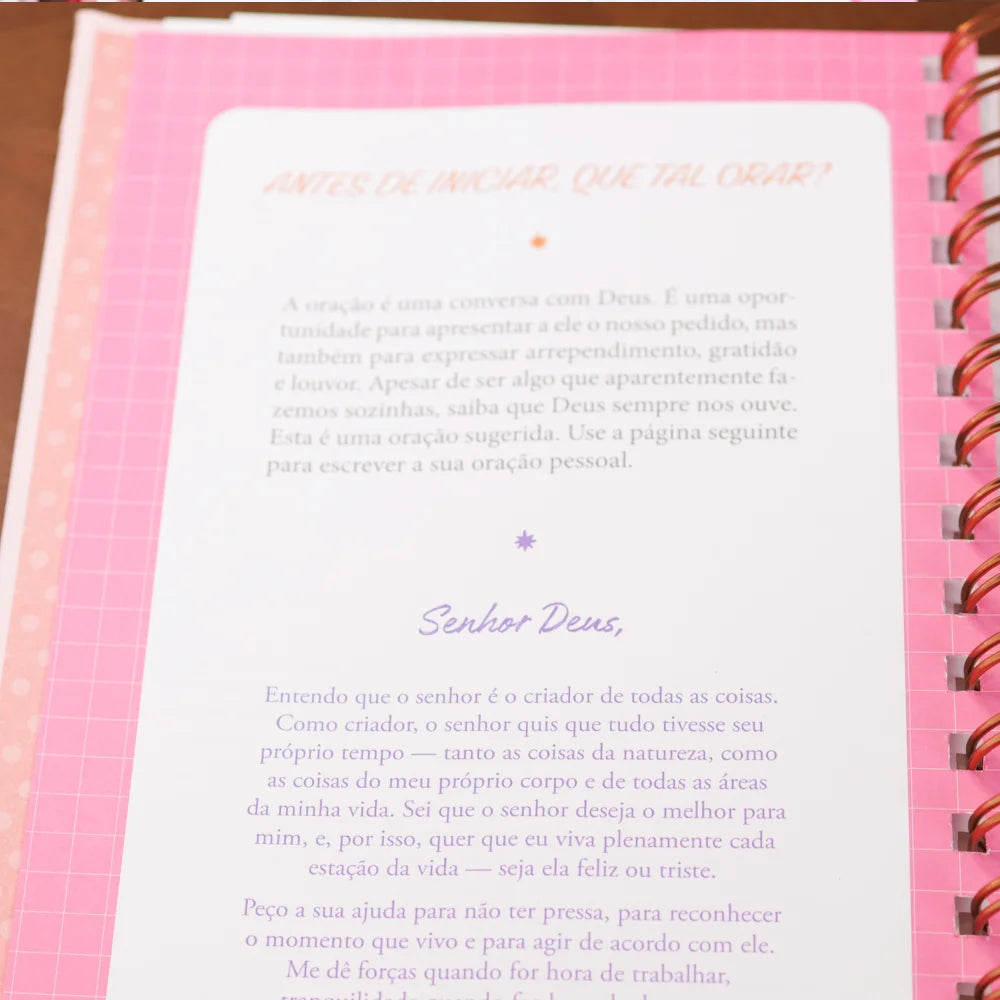 Planner Meu Plano Perfeito Florescer | Capa Dura Coração