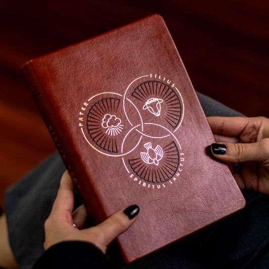 Bíblia Trindade | ARA | Letra Grande | Capa Couro Sintético Marrom