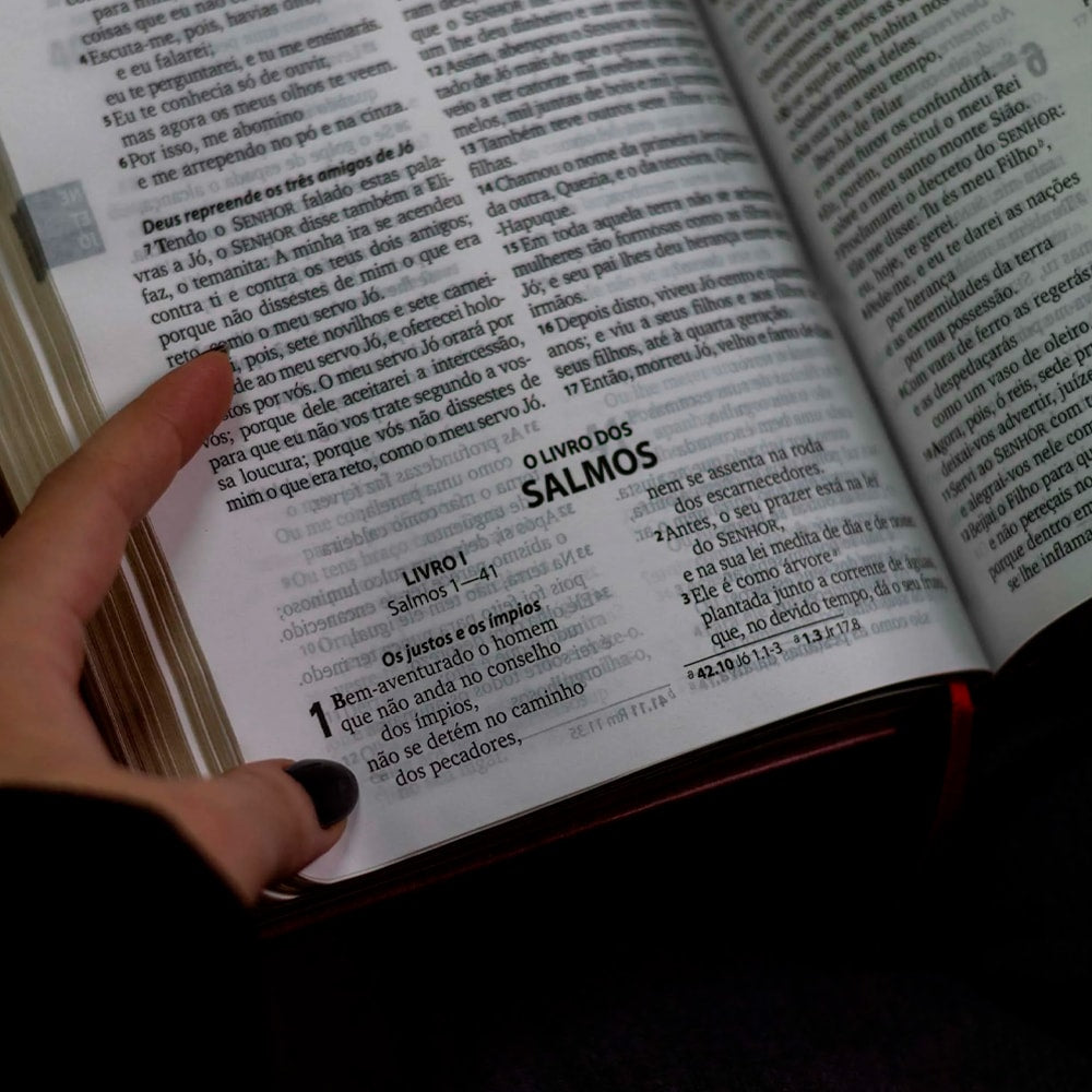 Bíblia Trindade | ARA | Letra Grande | Capa Couro Sintético Marrom