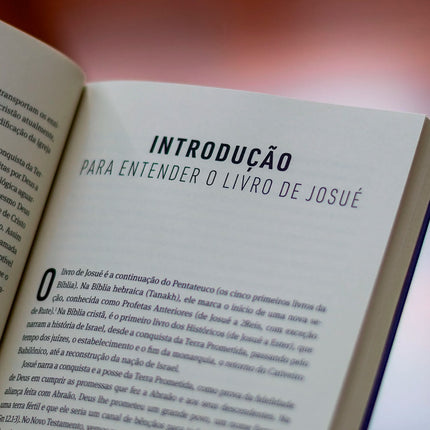 Josué | Série Comentário Bíblico Heziom | Arival Dias Casimiro
