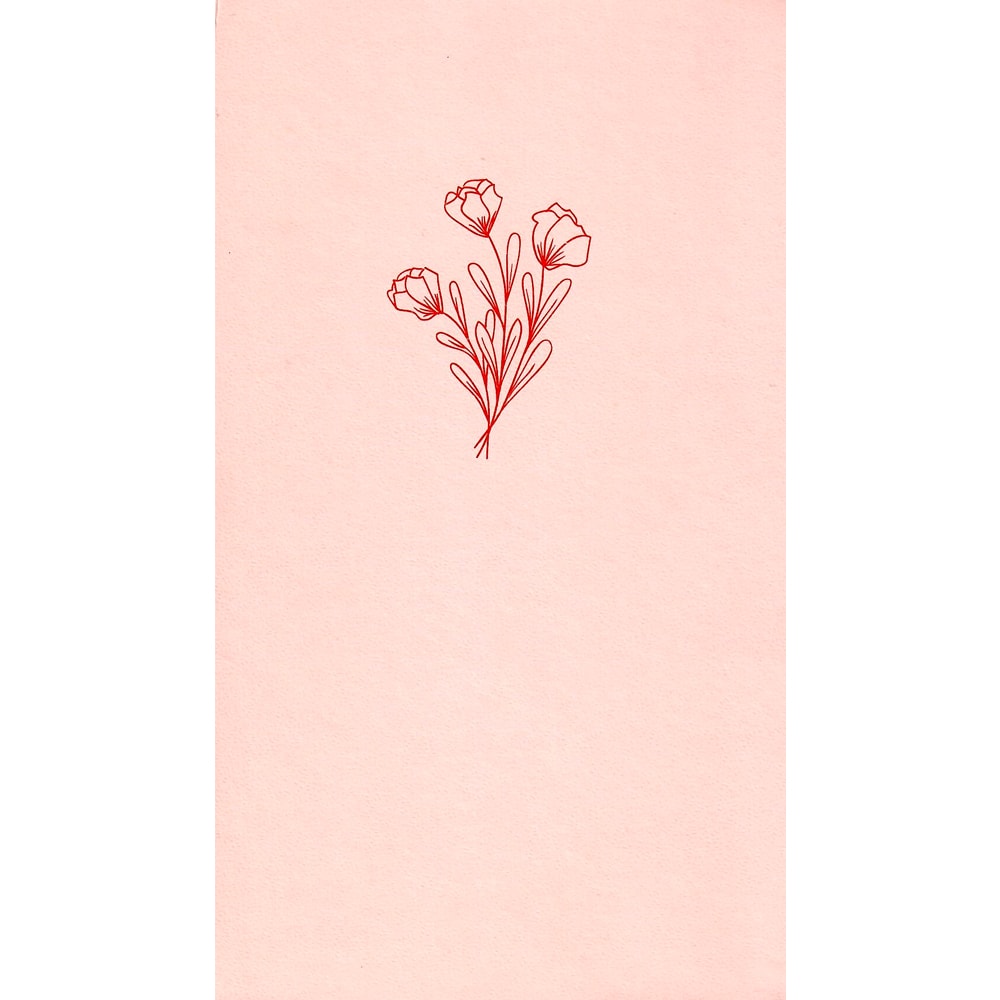 Bíblia Sagrada Aliança | NVI | Capa Dura