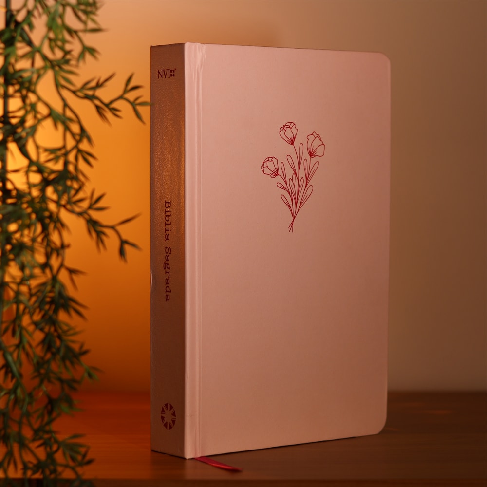 Bíblia Sagrada Aliança | NVI | Capa Dura