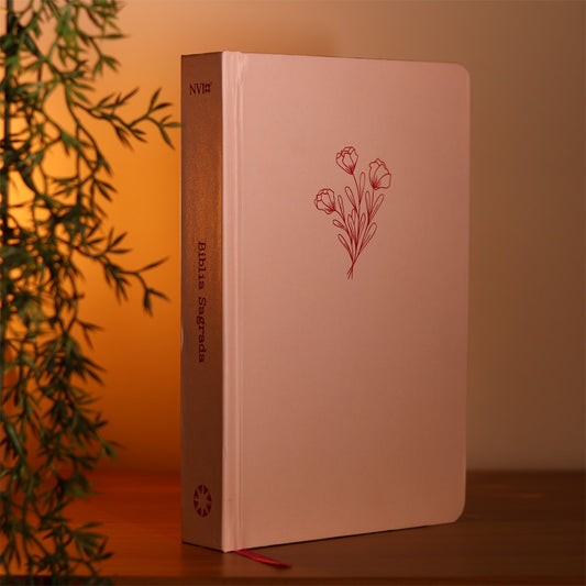 Bíblia Sagrada Aliança | NVI | Capa Dura