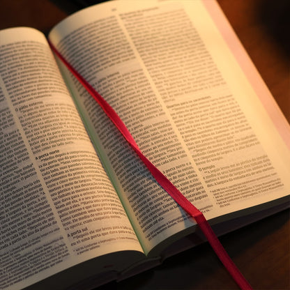 Bíblia Sagrada Aliança | NVI | Capa Dura