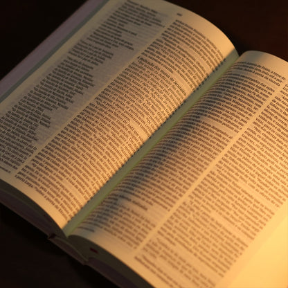 Bíblia Sagrada Aliança | NVI | Capa Dura