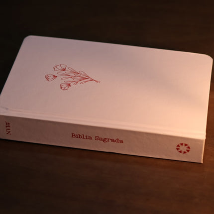 Bíblia Sagrada Aliança | NVI | Capa Dura
